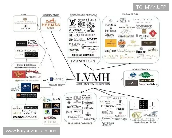 开云中国关网：对国内奢侈品市场的冲击与应对策略探讨