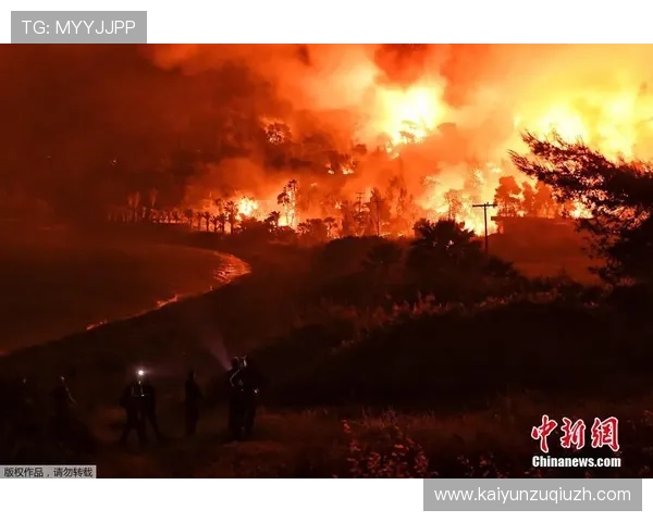 开云体育集团官网官方平台功能介绍与操作指南详尽解析