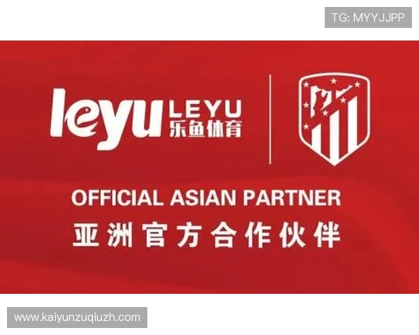 乐鱼体育app网址最新入口提供详细指南帮助用户顺利登录体验